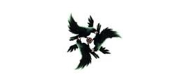 Kage Kaze Zoku/Shadow Wind