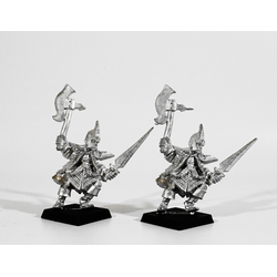 Dark Elves: Corsairs (2st, Metall)
