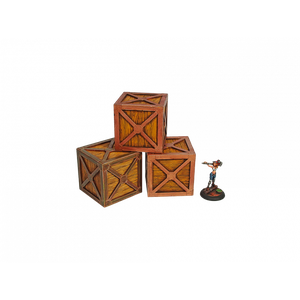 XIX Century Crates (3)
