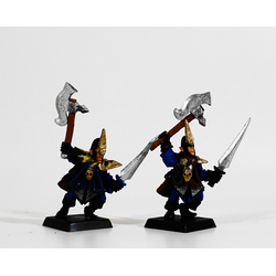 Dark Elves: Corsairs (2st, Metall)